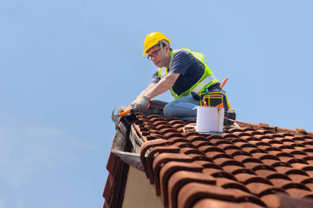 Best Sheet Metal Roofing  in Oro Valley, AZ